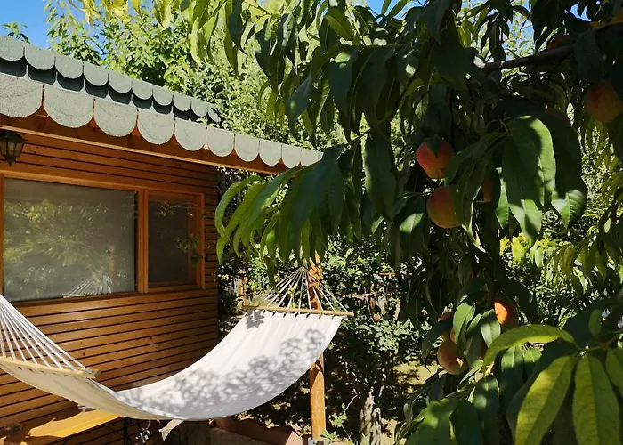 Relax Eaza - Casa Cu Hamac