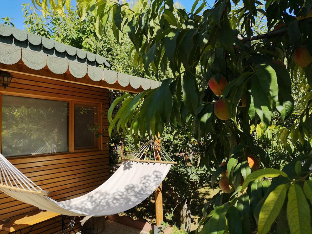 Relax Eaza - Casa Cu Hamac * קונסטנצה