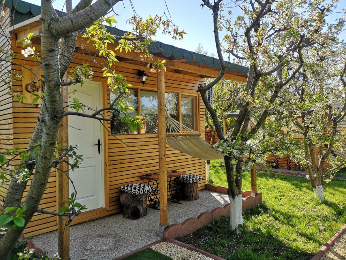 אכסניה Relax Eaza - Casa Cu Hamac